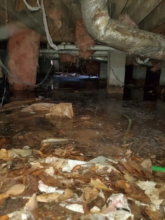 Crawl space flood assessment for Leak Detection & Repair in Social Circle