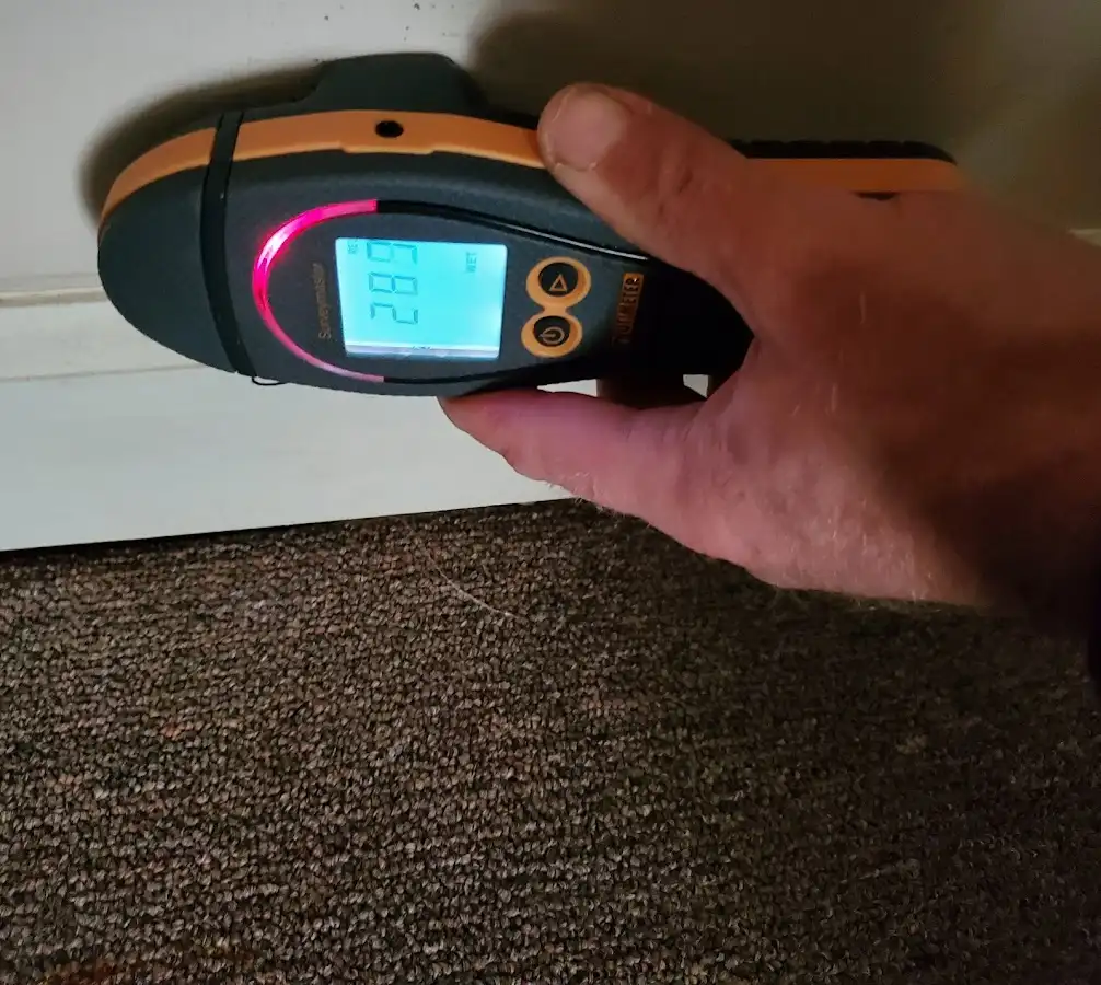 Moisture detection at baseboard during Sewage Cleanup & Sanitation in Social Circle